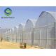 Hot Galvanized Steel 8m Polyethylene Film Greenhouse