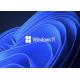 WDDM 2.0 UEFI Microsoft Windows 11 Professional Win 11 Pro COA Sticker Key License