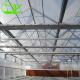 Our Top-Notch Polycarbonate Greenhouse Single Layer 30-100m Length