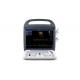 15'' High Definition LCD Monitor Color Doppler Ultrasound Machine Portable 7.5kg