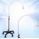 CE Certificate Pure Whitening LED Lamp For Dental Operating 1 Year Warranty