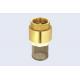 Brass Spring Check Valve With Filter Brass Fittings PN16 / 232Psi