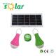 Factory price Solar lamps with 2 LED bulbs high lumens for home lighting , camping, fish, hiking