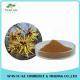 Superior Quality Featured Product 5%-98%Chlorogenic Acid Honeysuckle Flower Extract