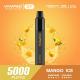Lightweight Mango Ice Gift Box Disposable Vape Pen With Mesh Coil