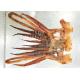 Healty Tentacle Shredded Squid Snack Tentacles Deep Sea Brown Color