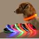 Abs Usb Led Dog Collar Lead Collar For Dogs with Water Resistant Flashing Light