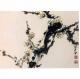 Chinese Painting:White Plum,Www.Chineseartproducts.Com