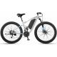 26 Inch Fat Tire E Bike Wide Tires Steel High Carbon Full Suspension Fat Ebike 1000w 48v