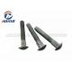 Customized HDG Long Square Neck Large Carriage Head Bolt