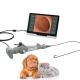 Portable Flexible Video Endoscope For Animal Cystoscopy Bronchscopy