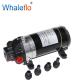 WHALEFLO DP-160 irrigation ultra high pressure portable diaphragm 12v water pump