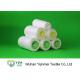 High Tenacity Knotless 60/3 Spun Polyester Yarn Z Twist Yarn