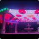 SPI/DMX Control Mode Transparent LED Mesh Screen Waterproof For Shopping Mall