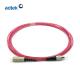 Multimode Simplex FC SC Fiber Patch Cord 2.0mm OM4 PVC / LSZH 3M Fiber Optic Cable