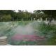 Landscape Fog Water Fountain Project With Large Spray Mist And Anions Air Vitamin