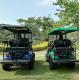 Customized Electric Golf Cart 4 Wheel Disc Brake Off Road Wheel 4 Seater