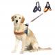 Ready To Ship: Pets Leashes Sets Various Size Breathable  Nylon Leather Dog Collars XS-S-M-L Dog Leash