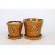 6 Inch And 8 Inch Ceramic Indoor Pots