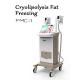 Vacuum Fat freeze cryolipolysis slimming multipolar radiofrecuency crolipolysis machine