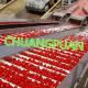 Streamlined Tomato Processing with Customized Tomato Production Line