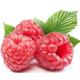 100% Natural Raspberry Ketones Raspberry Extract