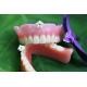 Stable Comfortable BPS Acrylic Partial Denture Denture