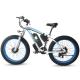 High Power Dual Motor Fat Tire Electric Bike 60km/H Max Speed With 48V Motor