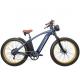 Long Range Beach Cruiser Electric Bike 48V 750W 26 Inch Fat Tire Ebike Beach Cruiser