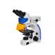 UOP Upright Fluorescence Microscope , High Resolution Fluorescence Microscopy