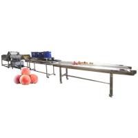 Hot selling Fruit And Vegetable Processing And Packaging Line by Huafood