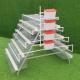 Farming A Type Mini Poultry Cages Chicken Layer 4 Tier 160 Birds