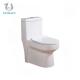 Canadian Single Piece Wall Mounted Commode One Piece Wc 650*360*740mm