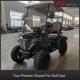 Plastic Cover 2 Seater Electric Golf Buggy Hunting Cart With CE Certificate