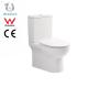 Customized Contemporary Close Coupled Rimless Toilet With Soft Close Seat