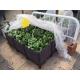 Garden Bed Garden Plastic Raised Planter Boxes Retro Rectangular