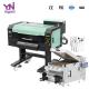30cm DTF Printer XP600 Print Head DTF Pet Film Printer dtf dualhead printer i1600