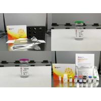 Rabbit APO B48 Enzyme Immunoassay ELISA Kit For Accurate Quantitative Detection