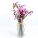Fashion Style Beautiful Dried Flowers Statice Limonium Forget Me Not