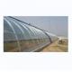 Single Layer Brick Wall Solar Greenhouses 8m-16m Width With Insulation Blanket