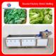 380V 240KG Diffusion Injection Fruit And Vegetable Washing Machine Easy To Operate