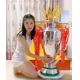 390mm Height Premier League Trophy CCC For Football Match