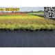 2016 High Quality100% PP woven weed barrier weet mat for ground cover
