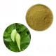 Gymnema Sylvestre Leaf Anthocyanin Extract Powder For Pharmaceutical