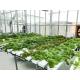 Manual CO2 Control Hydroponic Growing System For Nutrient Delivery Drip And Ebb And Flow