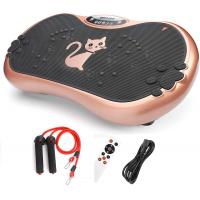 Home Training Fitness Vibration Plates Whole Body Exercise Remote Control 200W