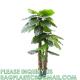 Artificial Monstera Deliciosa Plant 37 Fake Tropical Palm Tree, Perfect Faux Swiss Cheese Plants in Pot