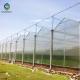 12m Multi Span Polycarbonate Greenhouse For Exhibition