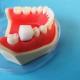 High Quality Absorbable Medical Dental Use Tactical Gelatin Hemostatic Sponge OEM Wholesale