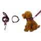 Bright Dog Lead And Collar Set Adjustable 30-48cm Buckledown Dog Collars